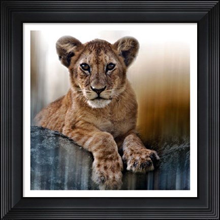 Framed Cub Print