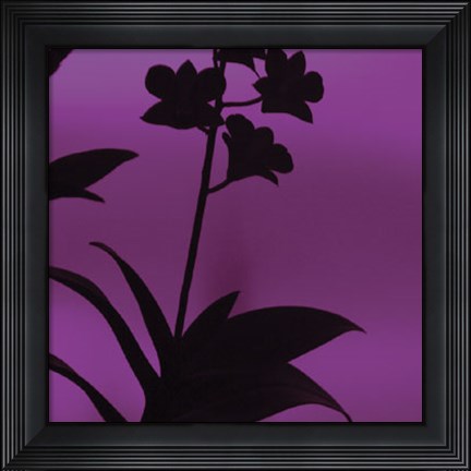 Framed Exotica III Print