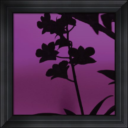 Framed Exotica IV Print