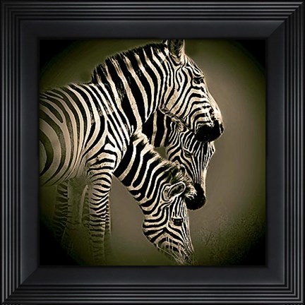 Framed Mirage Print