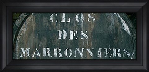 Framed Cellar IV Print