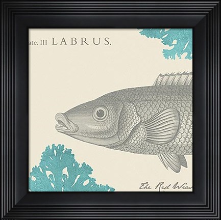 Framed Sea and Shore III Print