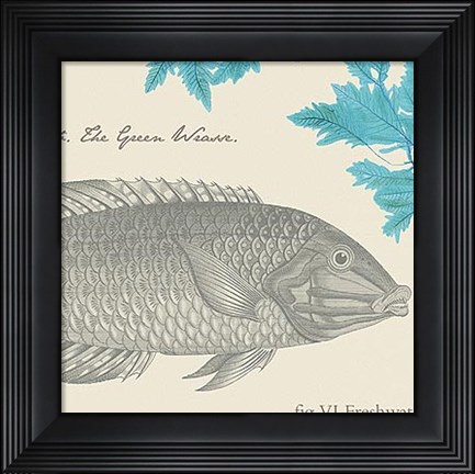 Framed Sea and Shore IV Print