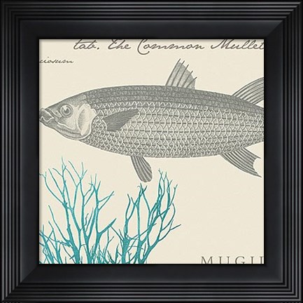 Framed Sea and Shore V Print