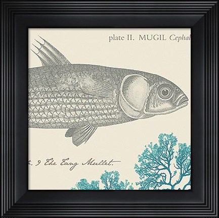 Framed Sea and Shore VI Print