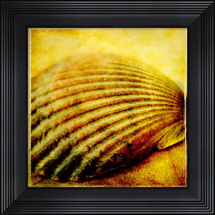 Framed At the Seashore I Print