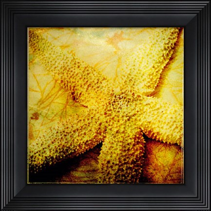 Framed At the Seashore II Print