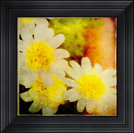 Framed Vintage Garden I Print