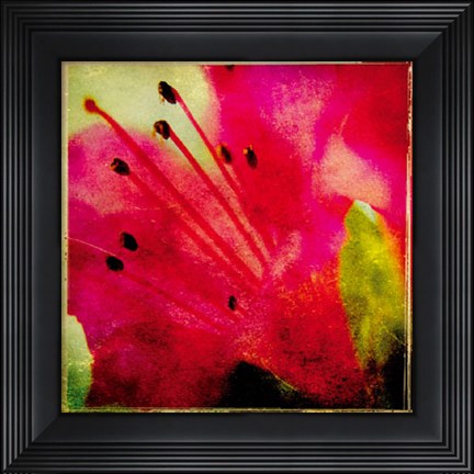 Framed Vintage Garden II Print