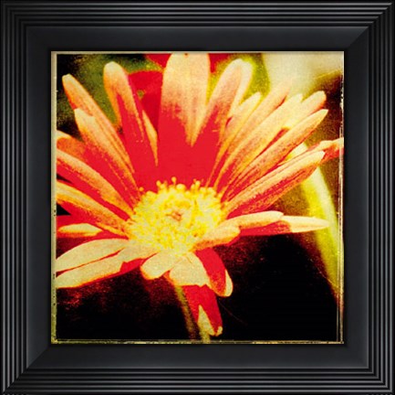 Framed Vintage Garden III Print