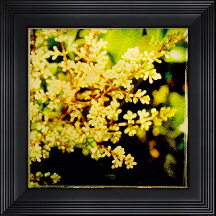 Framed Vintage Garden V Print