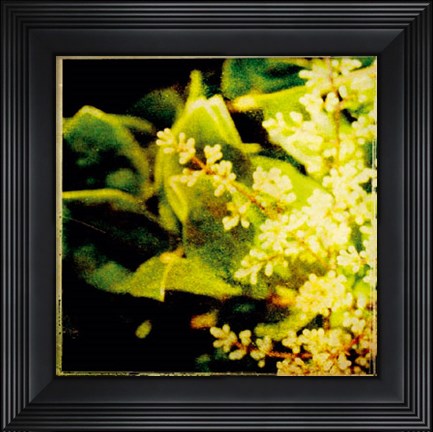 Framed Vintage Garden VI Print