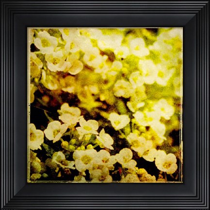 Framed Vintage Garden VII Print