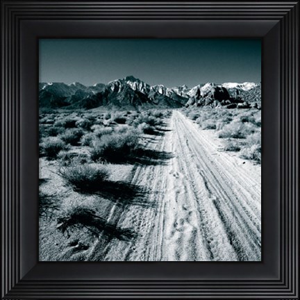 Framed Lone Pine V Print
