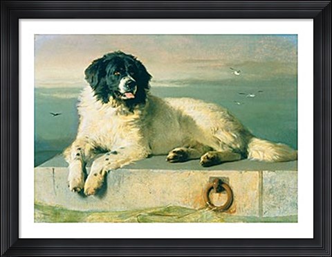 Framed Distinguished Member Of The Humane Society Print