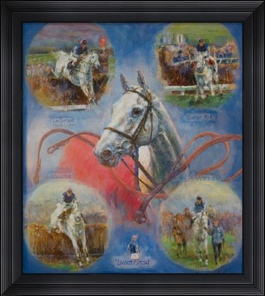 Framed Desert Orchid Print