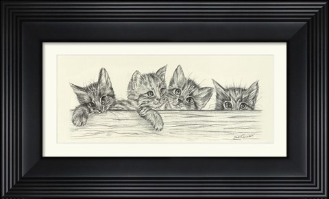 Framed Over The Fence I Print