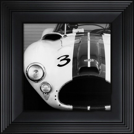 Framed 1952 Cunningham Print