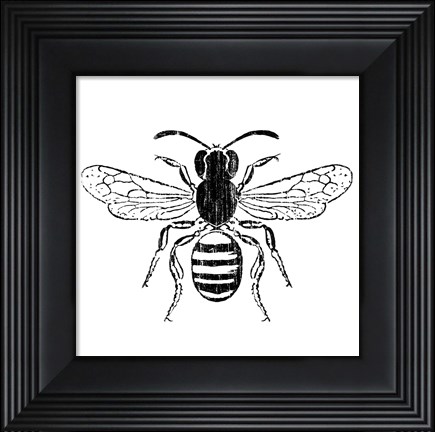 Framed Bee Print