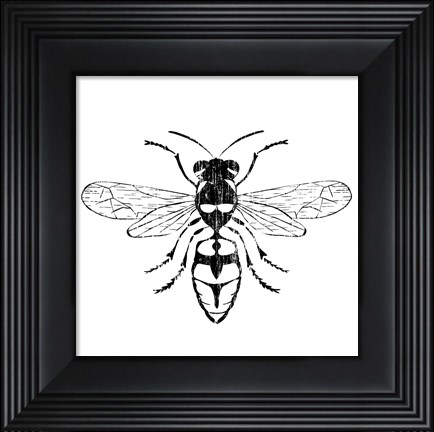 Framed Wasp Print