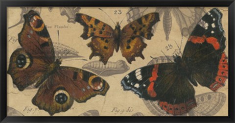 Framed Bold Butterfly Panel I Print