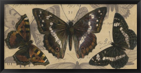 Framed Bold Butterfly Panel II Print