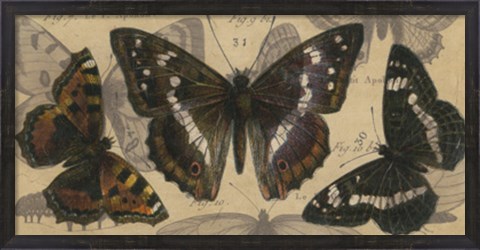 Framed Bold Butterfly Panel II Print