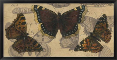 Framed Bold Butterfly Panel III Print