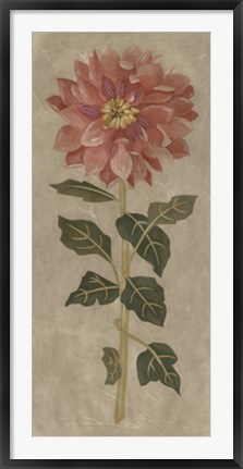 Framed Dahlia II Print