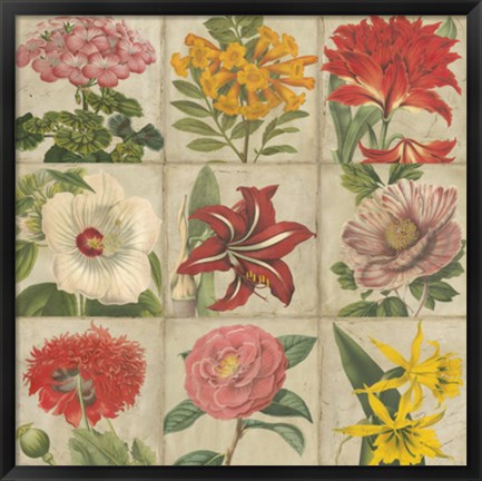 Framed Vintage Flower Grid Print