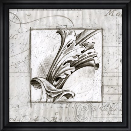 Framed Acanthus Detail I Print