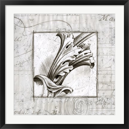 Framed Acanthus Detail I Print