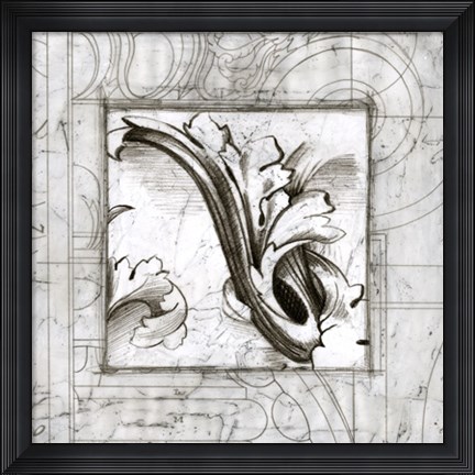 Framed Acanthus Detail II Print