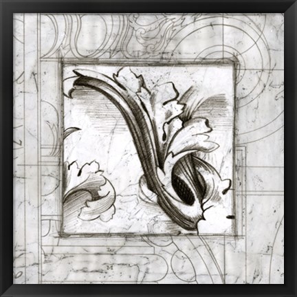 Framed Acanthus Detail II Print