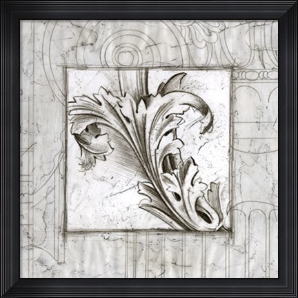 Framed Acanthus Detail III Print