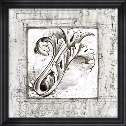 Framed Acanthus Detail IV Print