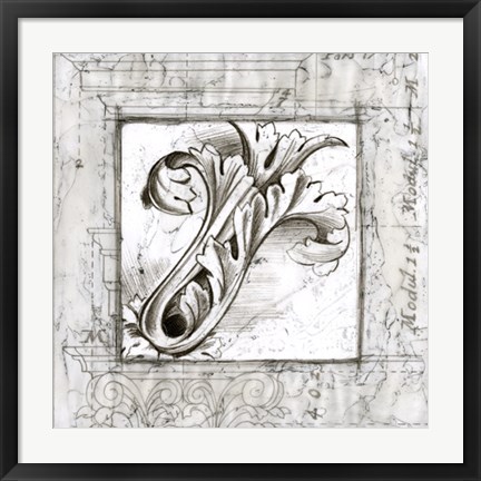 Framed Acanthus Detail IV Print