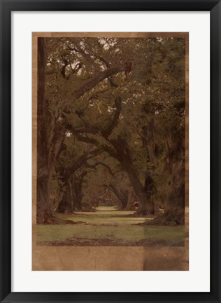 Framed Low Country Trees I Print
