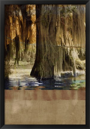 Framed Low Country Trees II Print