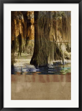 Framed Low Country Trees II Print