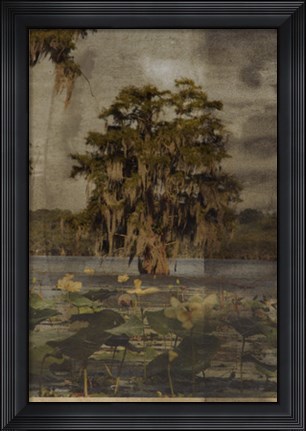 Framed Low Country Trees III Print