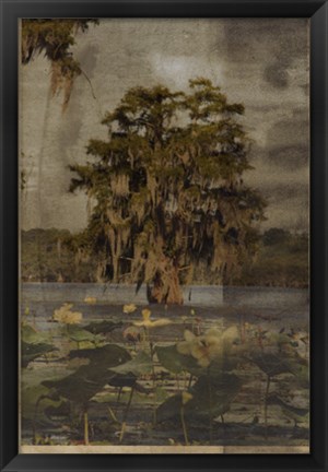 Framed Low Country Trees III Print