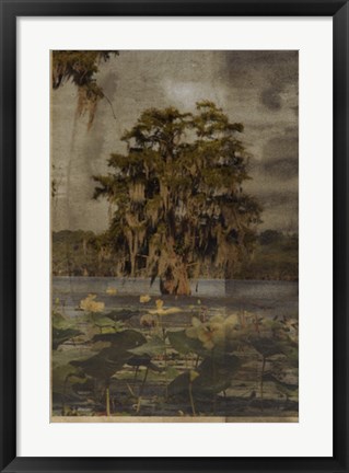 Framed Low Country Trees III Print