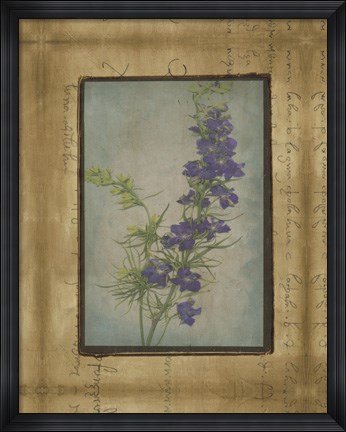 Framed Photographic Floral Collage I Print