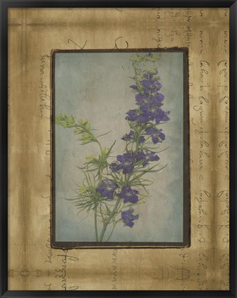 Framed Photographic Floral Collage I Print