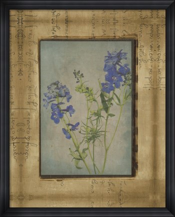 Framed Photographic Floral Collage II Print