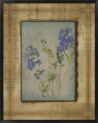 Framed Photographic Floral Collage II Print
