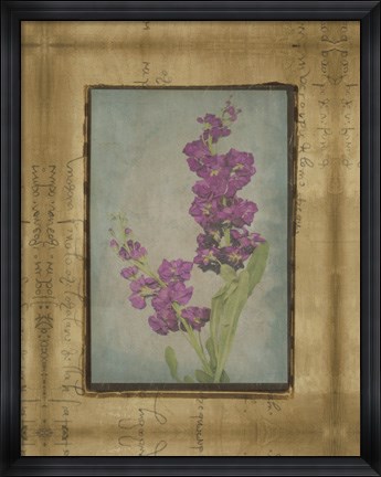 Framed Photographic Floral Collage III Print