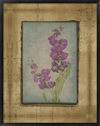 Framed Photographic Floral Collage III Print