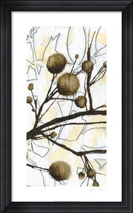 Framed Willow Blooms II Print